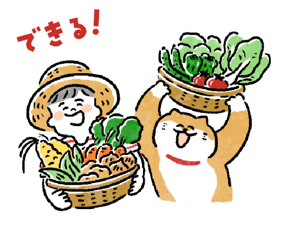 野菜の収穫体験