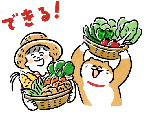 野菜の収穫体験